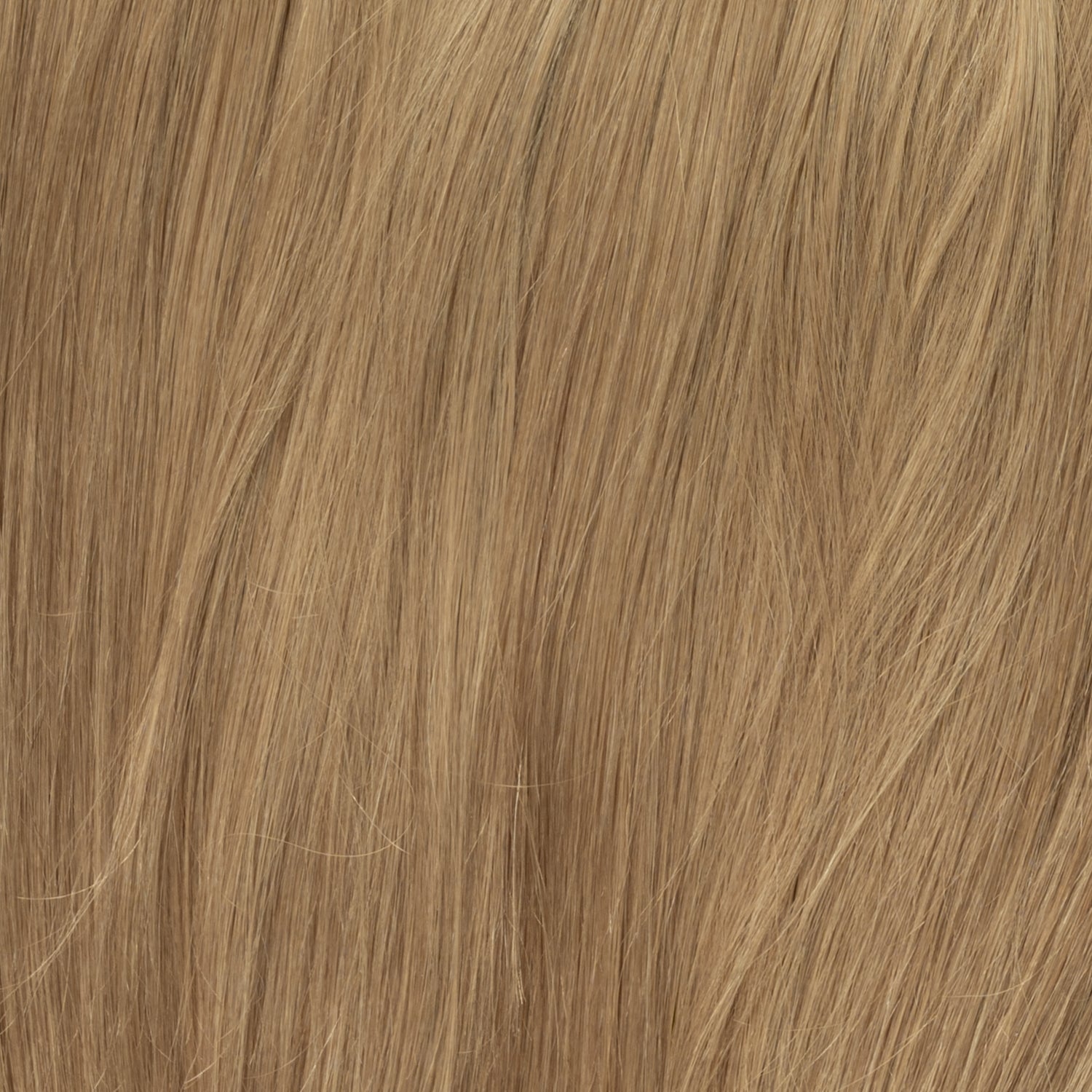 Color sample - Dark Beige Blonde 12B