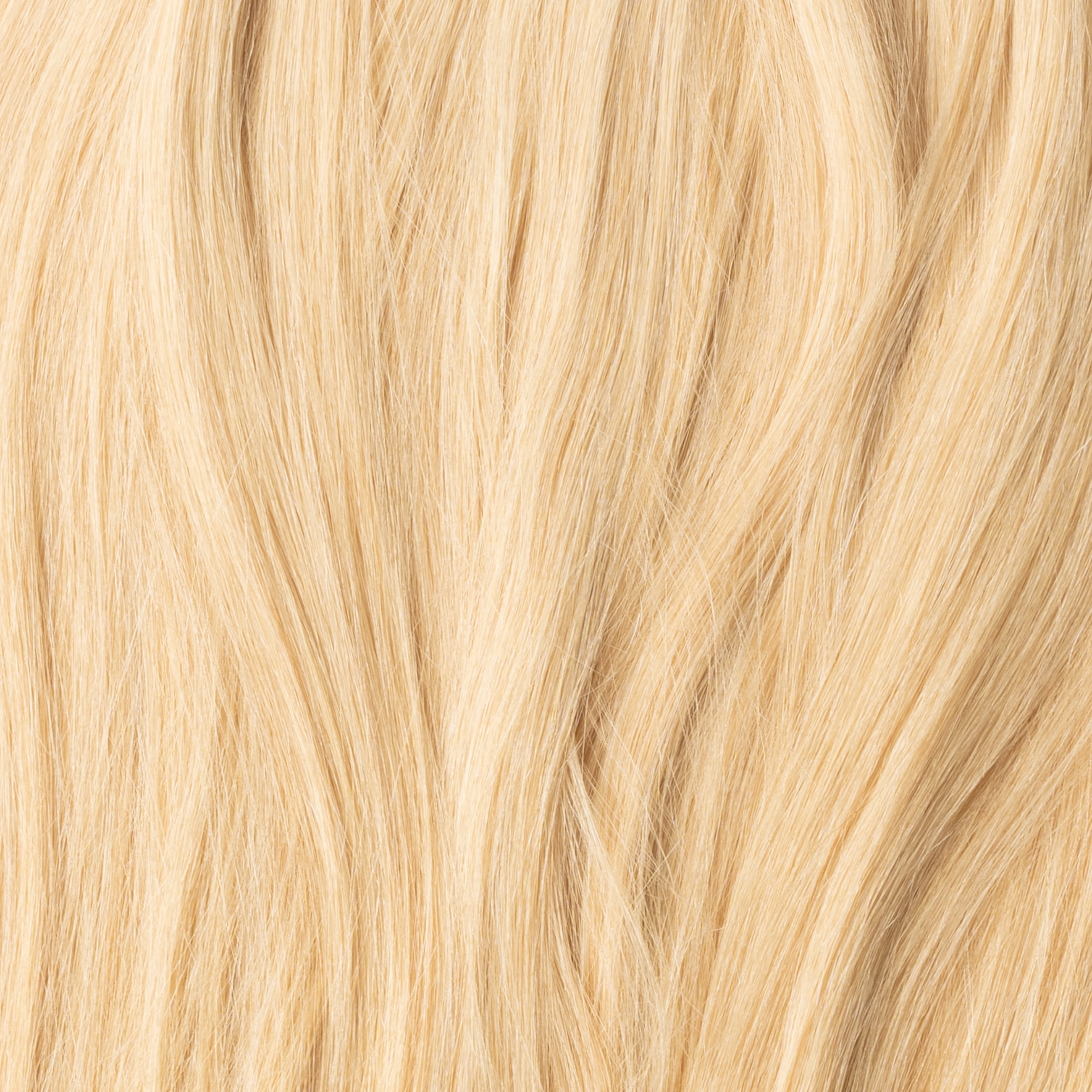 Ponytail Extensions - Goldblond Nr. 22