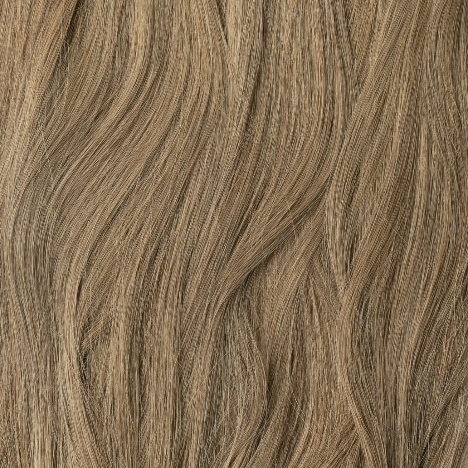 Microring Extensions - Light Ash Brown 5B