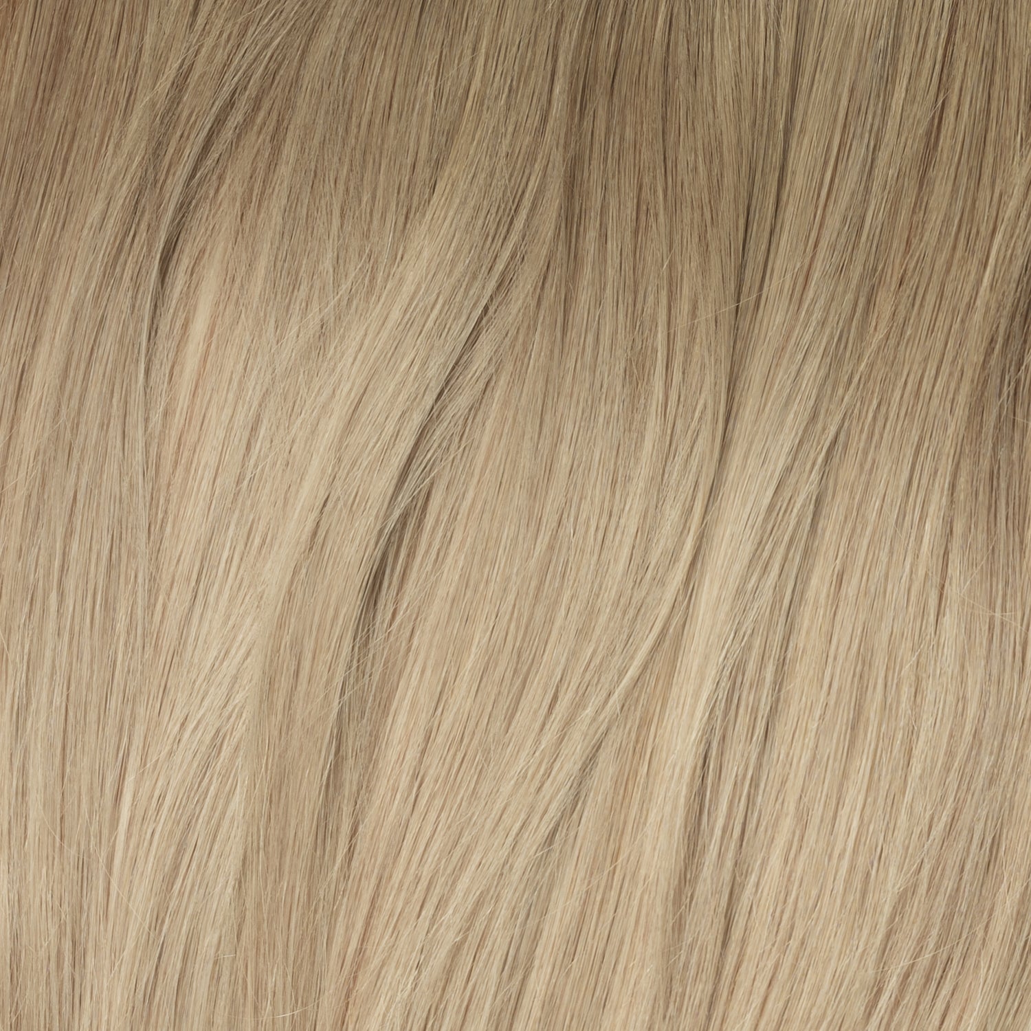 Tressen - Beige Blonde Root 5B+16B