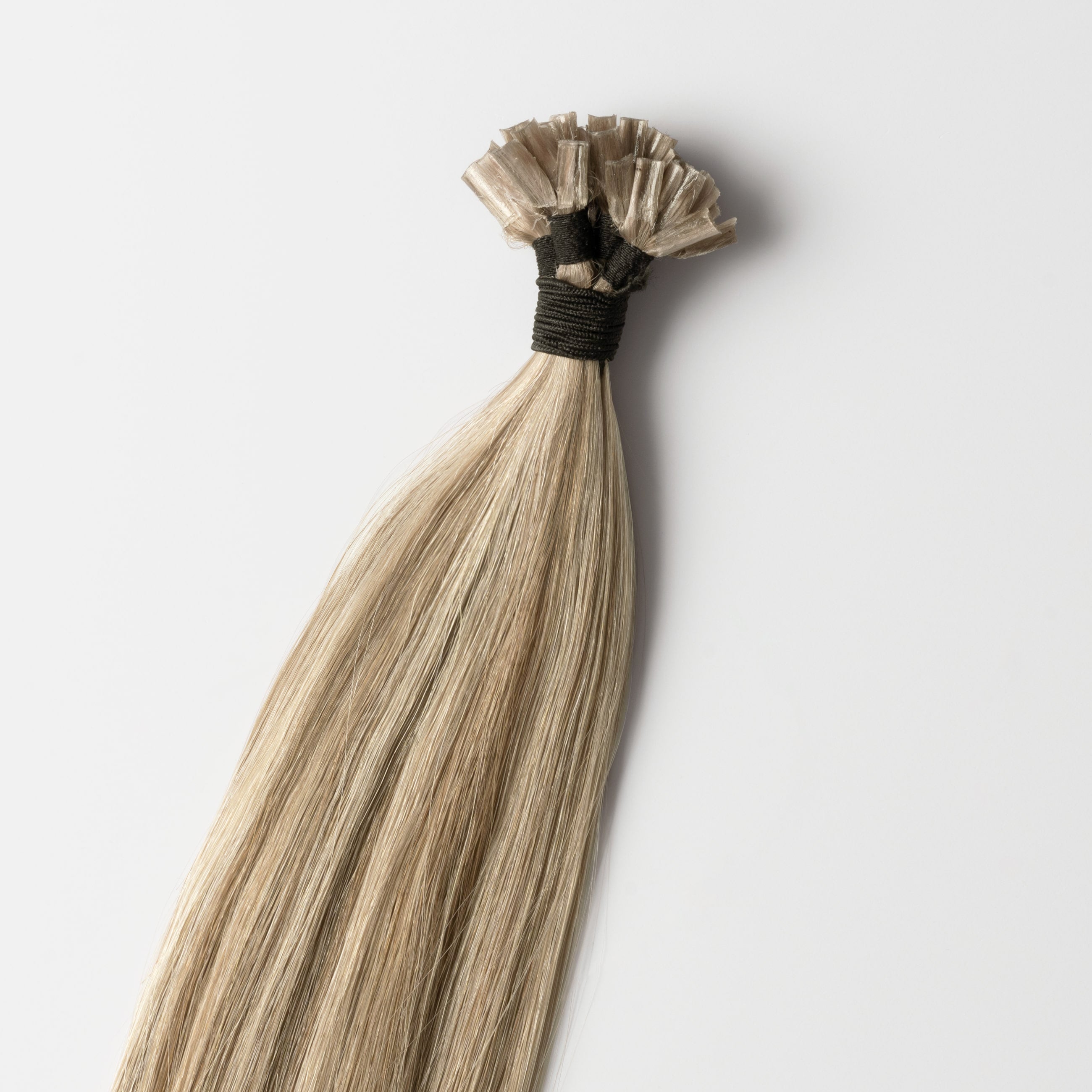 Bonding Extensions - Beige Blonde Mix 5B/16B