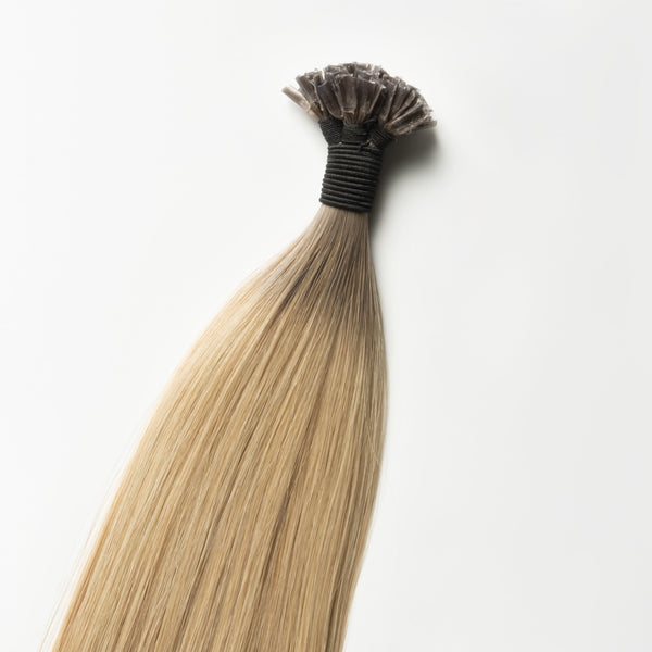Bonding Extensions - Root Nr. R5B+15 Bonding Extensions - Root Nr. R5B+15