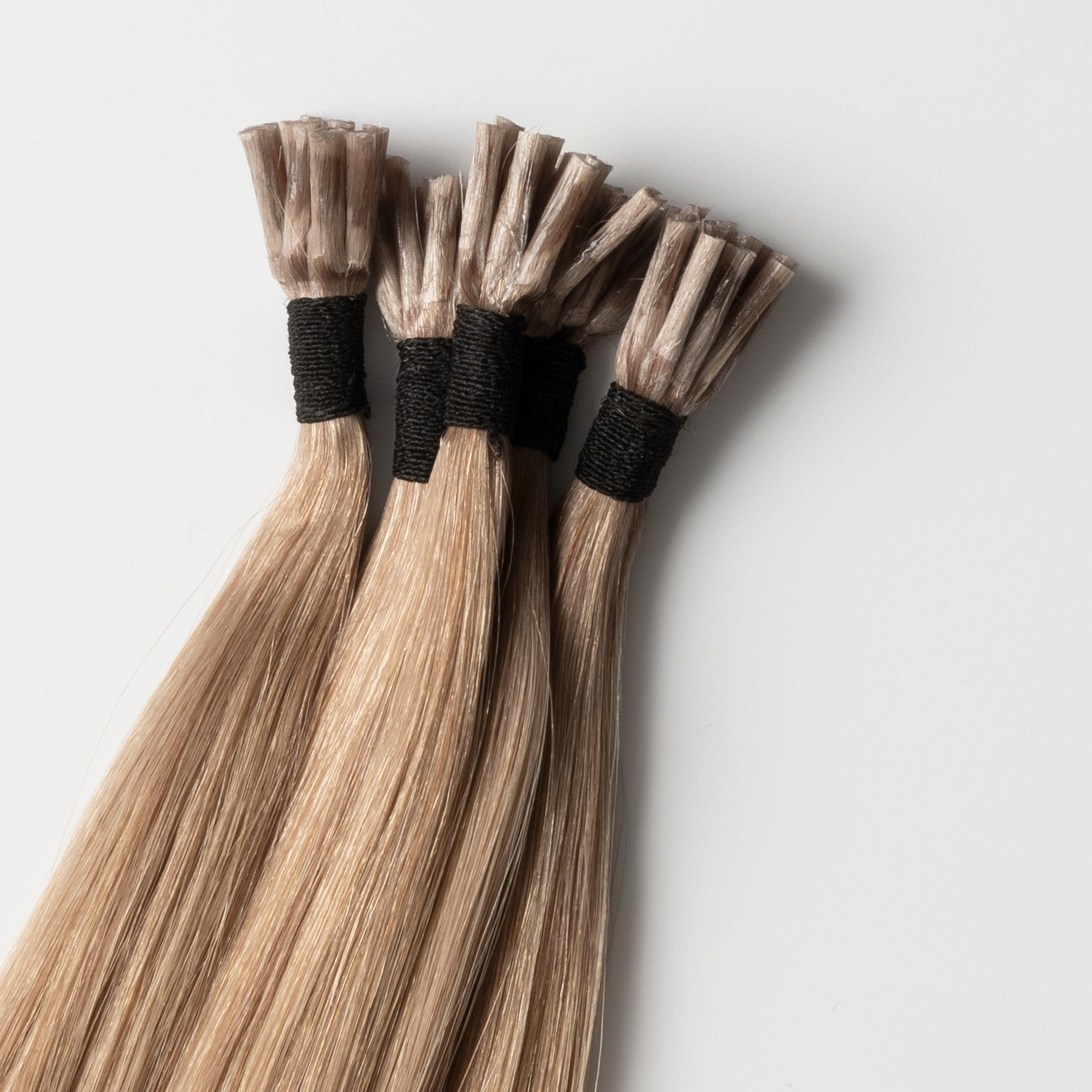 Microring Extensions - Helles Aschbraun Nr. 12B