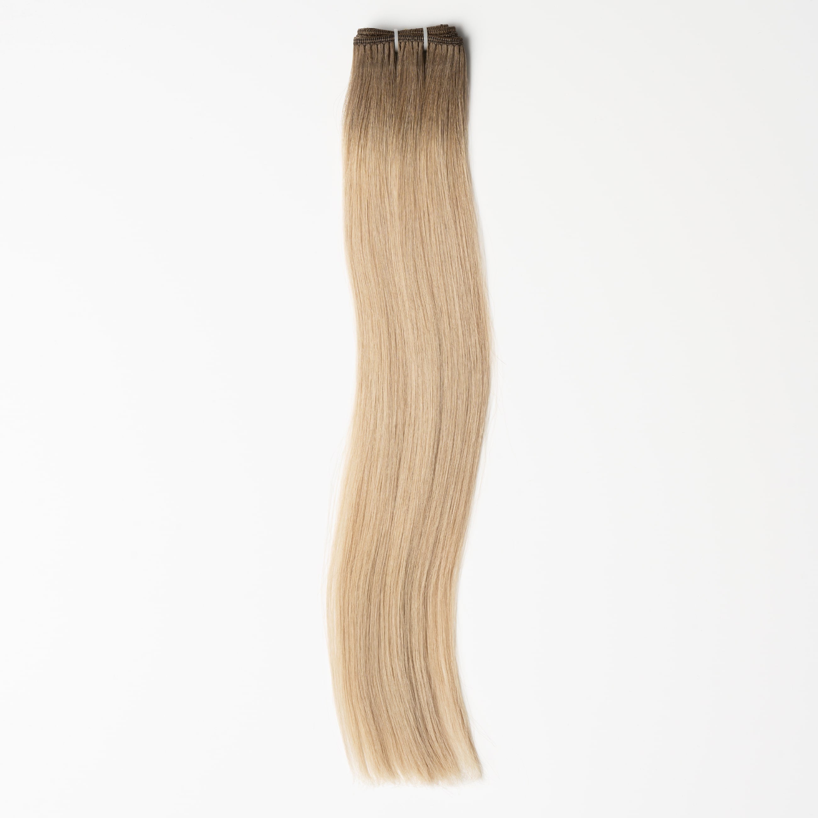 Tressen - Beige Blonde Root 5B+16B