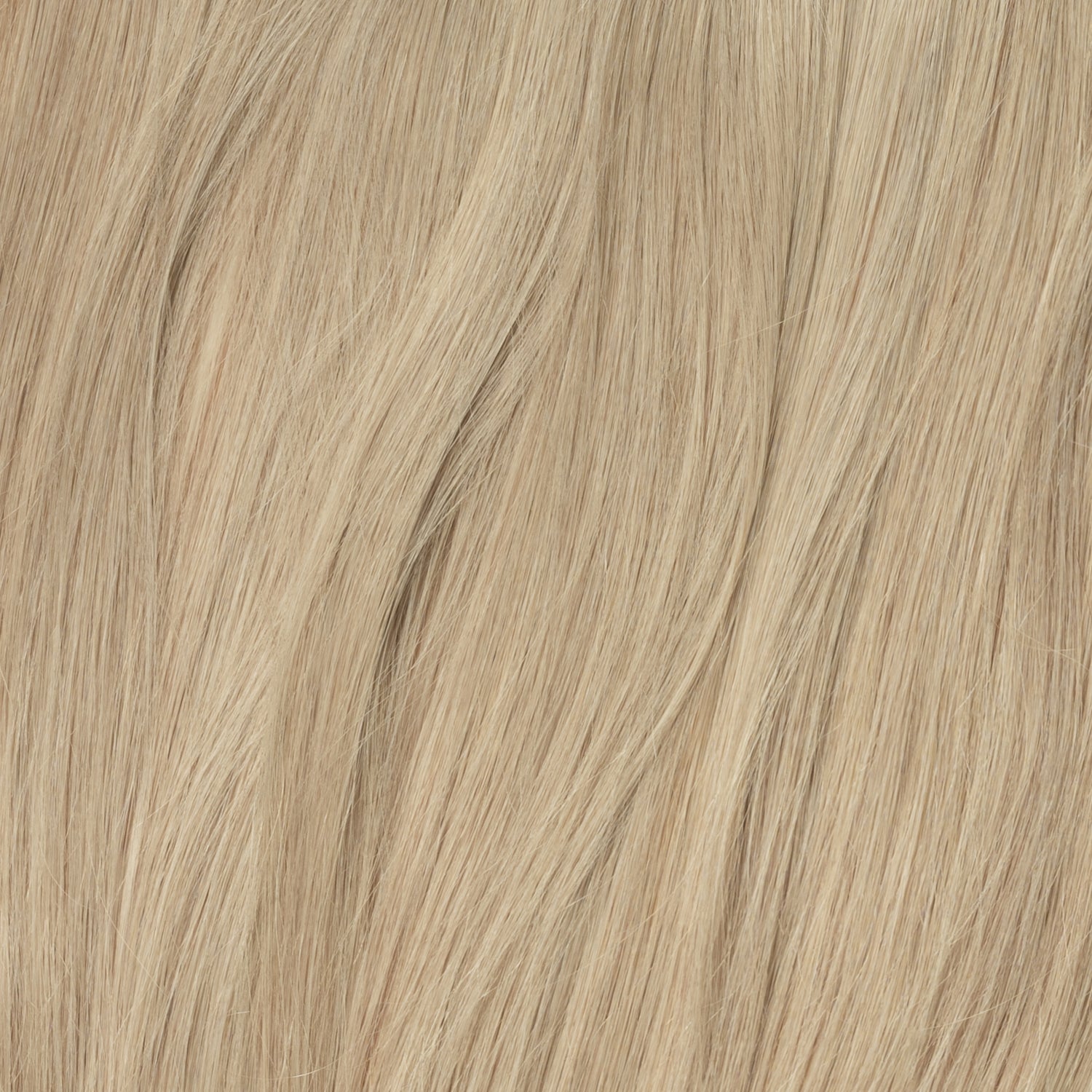 Tape in Extensions - Beige Blonde 16B