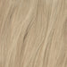 Tape in Extensions - Beige Blonde 16B