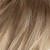 Tressen - Beige Blonde Balayage 3B+16B