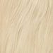 Color sample - Light Ash Blonde 60B